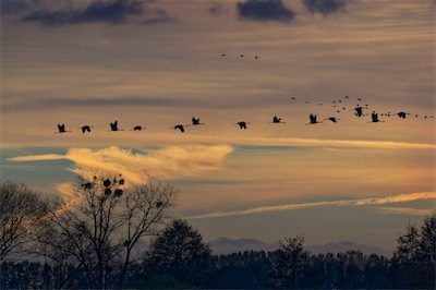 Röwitz-2013-11-11-16-07-46_Artikel.jpg