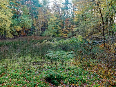 PA250019_Artikel.jpg
